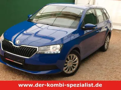 Gebraucht Skoda Fabia Active 95 PS (69 kW) 2021 Blau Kleinwagen