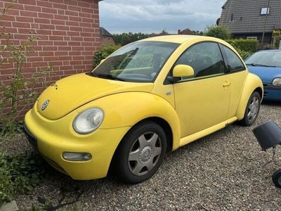 VW Beetle