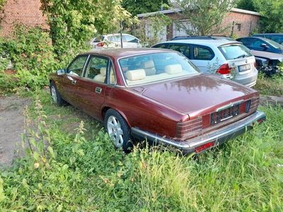 gebraucht Jaguar XJ40 