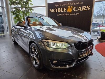 Gebraucht BMW 220 Sport Line 190 PS (139 kW) 2019 Grau Cabrio