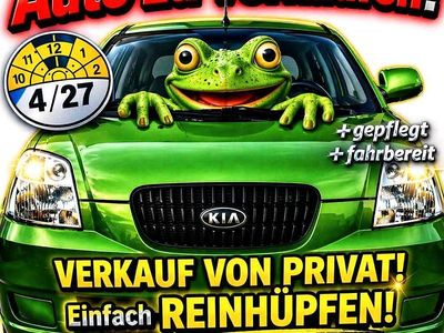 Gebraucht Kia Picanto 66 PS (48 kW) 2004 Grün Kleinwagen