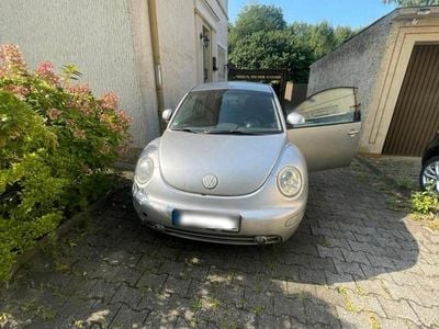 VW Beetle