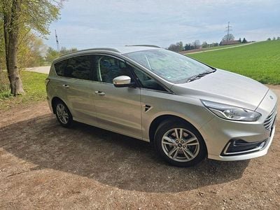 Usata Ford S-MAX Trend 190 CV (139 kW) 2019 Argento Monovolume
