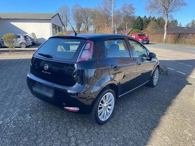 Gebraucht Fiat Punto 77 PS (56 kW) 2013 Schwarz Kleinwagen