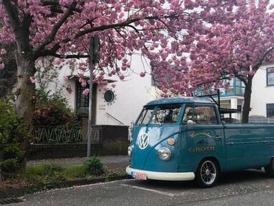 VW T1