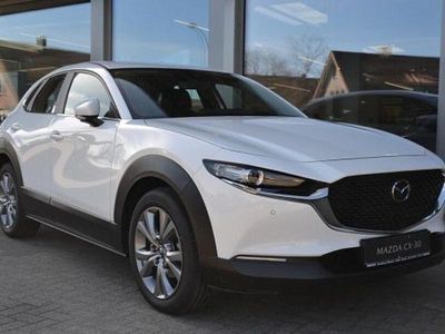 Gebraucht Mazda CX-30 Selection 122 PS (89 kW) 2023 Arctic white SUV