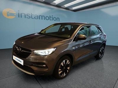 Gebraucht Opel Grandland X 131 PS (96 kW) 2020 Grau SUV