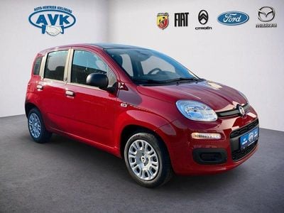 Neu Fiat Panda Icon 65 PS (47 kW) 2026 Passione rot / dach schwarz Kleinwagen