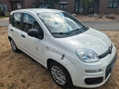 Gebraucht Fiat Panda 69 PS (50 kW) 2016 Weiß Kleinwagen