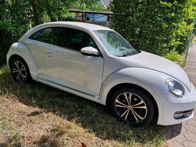 VW Beetle