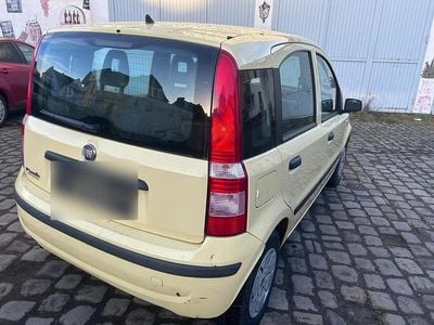 Usata Fiat Panda 54 CV (39 kW) 2009 Giallo Utilitaria