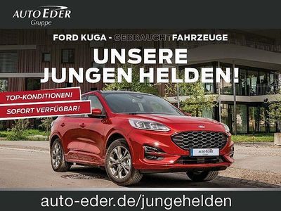 Gebraucht Ford Kuga ST-Line X 150 PS (110 kW) 2024 Grau SUV