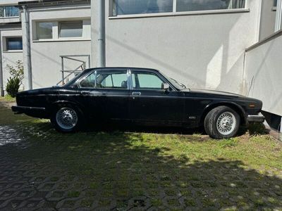 gebraucht Jaguar XJ Sovereign V12 1989