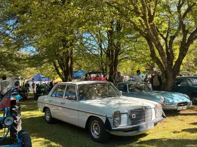 Gebraucht Mercedes W115 1976 Weiß Limousine