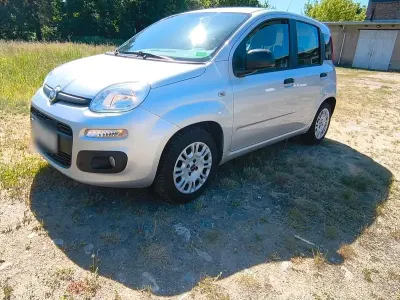 Occasion Fiat Panda 70 ch (51 kW) 2016 Argent Citadine