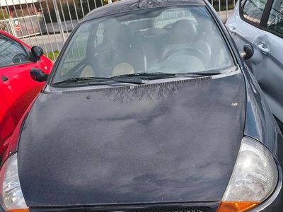 Gebraucht Ford Ka 2008 Schwarz Kleinwagen