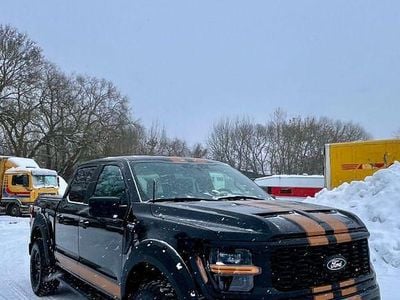 Schwarz Gebraucht 2024 Ford F-150 Abholung | 58.991 € (Etwas zu teuer)