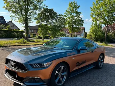 Gebraucht Ford Mustang 307 PS (225 kW) 2016 Grau Coupé