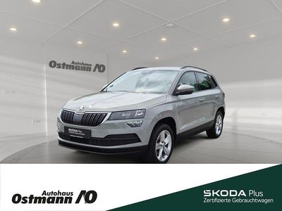 Gebraucht Skoda Karoq Ambition 116 PS (85 kW) 2021 Steelgrau SUV