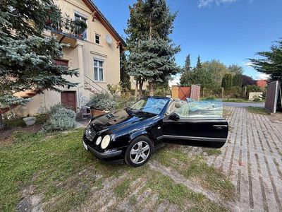 Mercedes CLK230