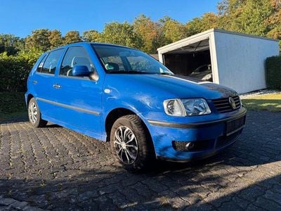 VW Polo