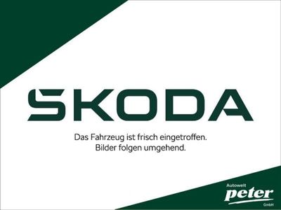 gebraucht Skoda Octavia COMBI TDI DSG RS