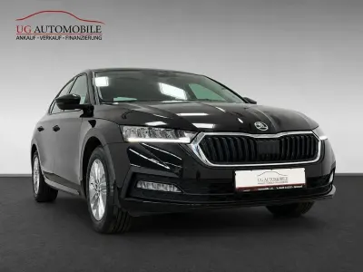 Usata Skoda Octavia