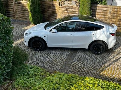Gebraucht Tesla Model Y Standard Range 219 kW (299 PS) 2023 Weiß SUV
