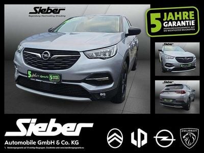 Gebraucht Opel Grandland X 131 PS (96 kW) 2020 Quarz silber SUV