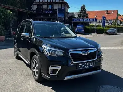 Gebraucht Subaru Forester