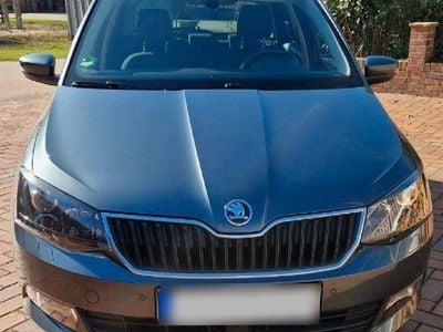 Gebraucht Skoda Fabia Drive 110 PS (80 kW) 2018 Grau Kleinwagen