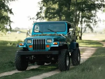 Gebraucht Jeep Wrangler 118 PS (86 kW) 1994 Blau SUV