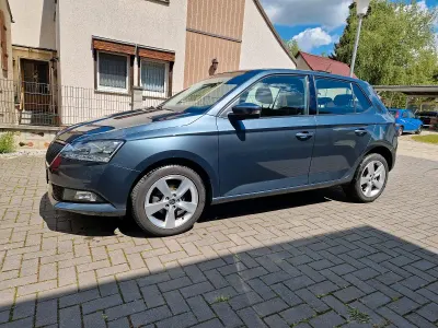 Brugt Skoda Fabia 60 HK (44 kW) 2020 Grå Hatchback