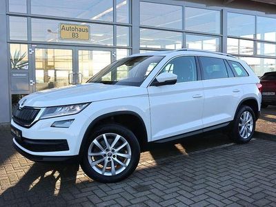 Gebraucht Skoda Kodiaq Business Line 190 PS (139 kW) 2020 Weiß SUV