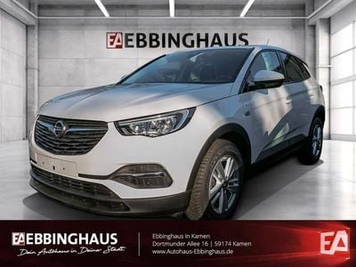 Gebraucht Opel Grandland X Selection 131 PS (96 kW) 2020 Weiss SUV