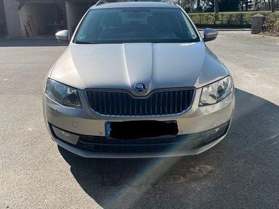 Gebraucht Skoda Octavia Joy 110 PS (80 kW) 2017 Grau Kombi