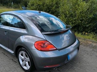 VW Beetle