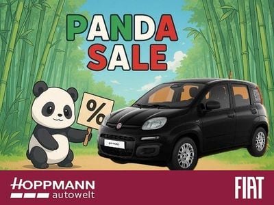 Nouă Fiat Panda Icon 69 CP (50 kW) 2025 Negru Hatchback