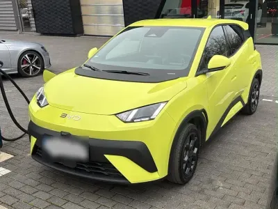 Gebraucht BYD Dolphin Surf