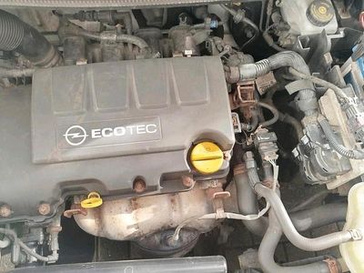 Usata Opel Corsa 70 CV (51 kW) 2010 Bianco Utilitaria