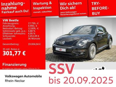 VW Beetle