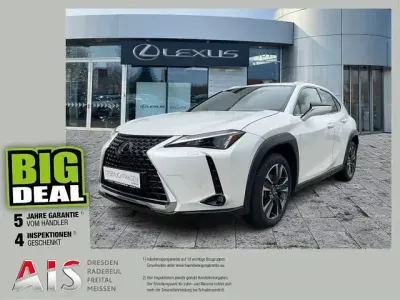 Gebraucht Lexus UX 250h 184 PS (135 kW) 2023 Titaniumweiß SUV