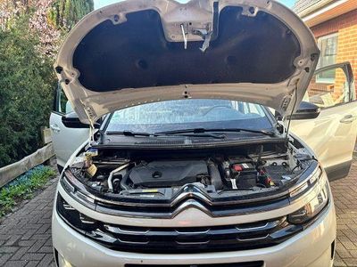 Gebraucht Citroën C5 Aircross PureTech 181 PS (133 kW) 2020 Weiß SUV