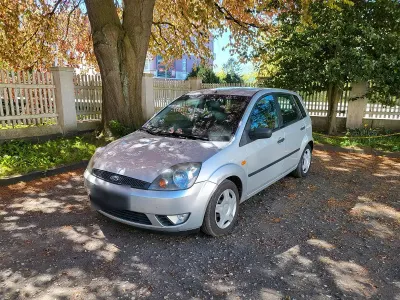 Usata Ford Fiesta 80 CV (58 kW) 2002 Grigio Utilitaria