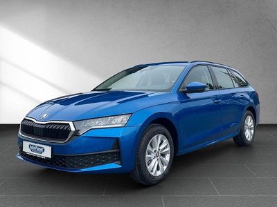 Gebraucht Skoda Octavia Essence 116 PS (85 kW) 2026 Blau Kombi