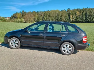 Gebraucht Skoda Fabia