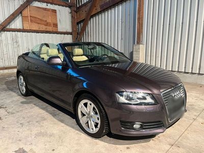 gebraucht Audi A3 Cabriolet 1.8 S-Tronic Ambition BOSE-LEDER-SH