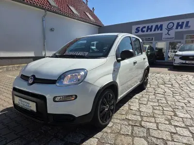 Gebraucht Fiat Panda 69 PS (50 kW) 2024 Bianco divino/zenit/ghiaccio/g Kleinwagen