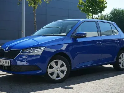 Gebraucht Skoda Fabia Active 75 PS (55 kW) 2019 Blau Kleinwagen