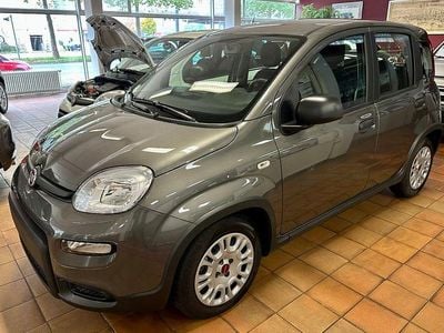 Grau Gebraucht 2024 Fiat Panda Kleinwagen | 11.600 € (Guter Preis)